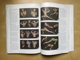 Anatomy for 3D Artists