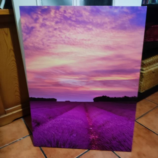 Cuadro de campos de lavanda 