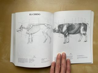 Escuela de dibujo de anatomía: humana y animal