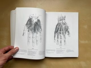 Escuela de dibujo de anatomía: humana y animal