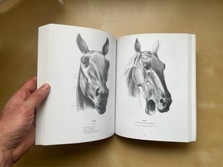 Escuela de dibujo de anatomía: humana y animal