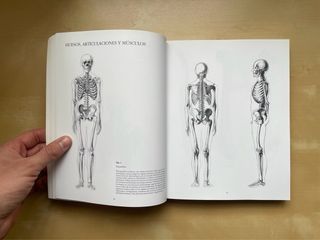 Escuela de dibujo de anatomía: humana y animal