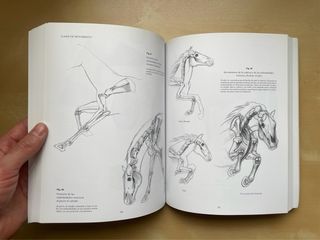 Escuela de dibujo de anatomía: humana y animal