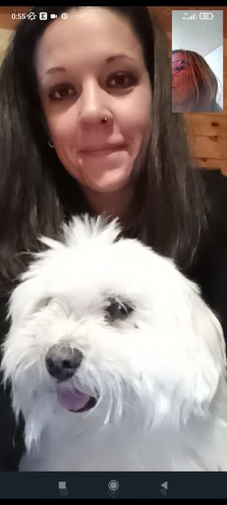 Cuidadora de perros-mascotas