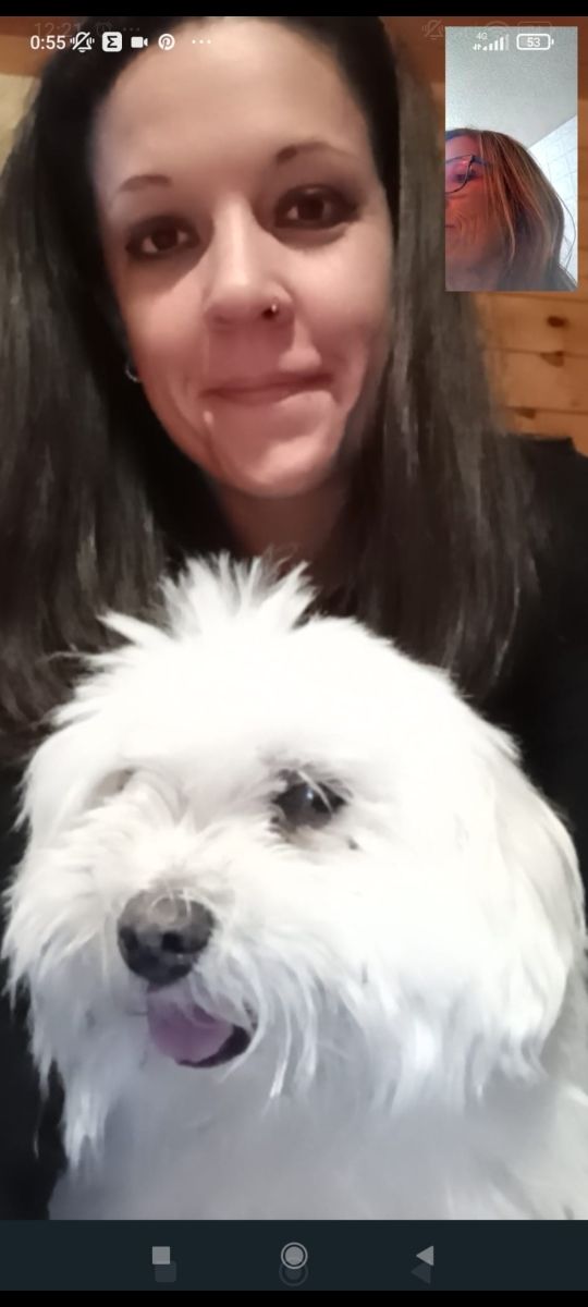 Cuidadora de perros-mascotas 