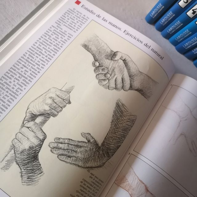 Curso práctico Dibujo y Pintura Larousse