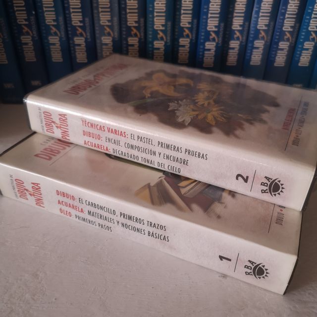 Curso práctico Dibujo y Pintura Larousse
