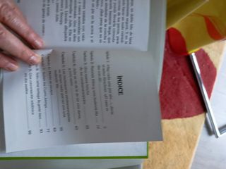 Julie en el campo de fútbol (Gaviota junior) (Spanish Edition)