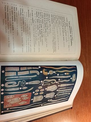 Antigüedad el médico en el hogar