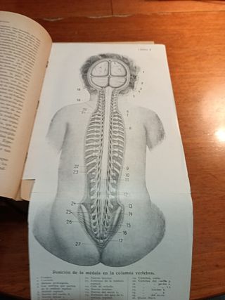 Antigüedad el médico en el hogar