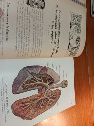 Antigüedad el médico en el hogar