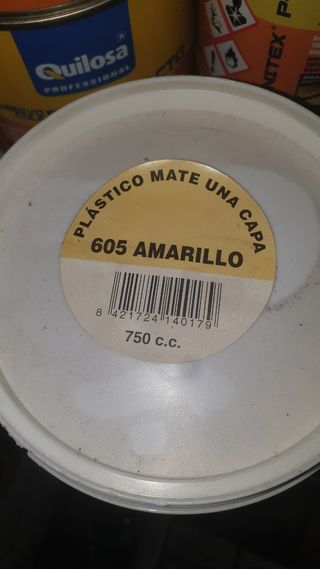 Lote pintura plástica mate monocroma eco