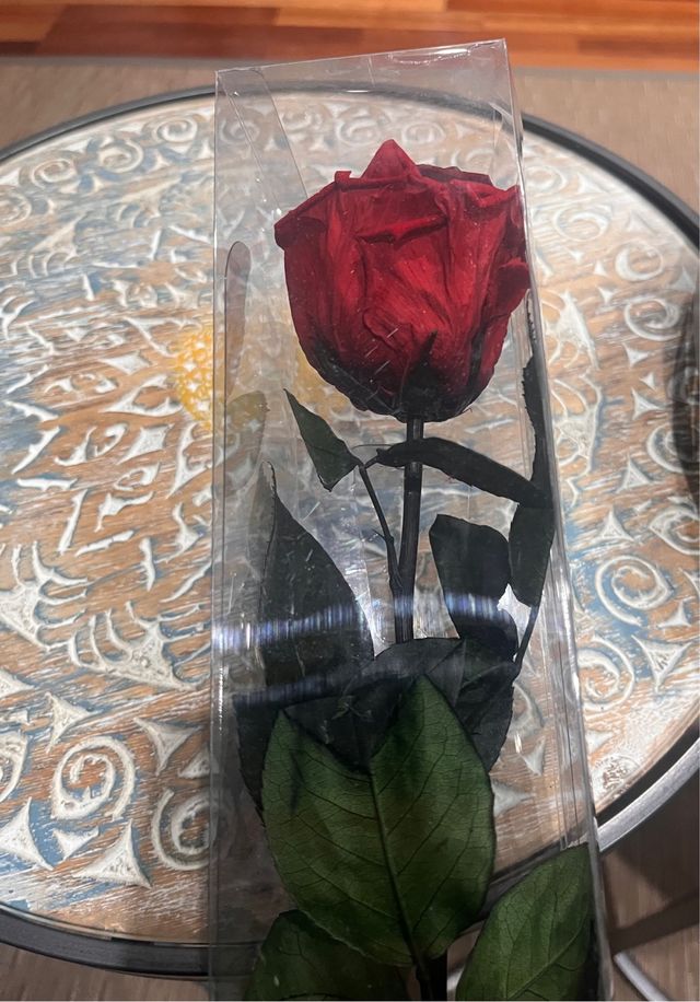 Lulu Rose rojo pasion