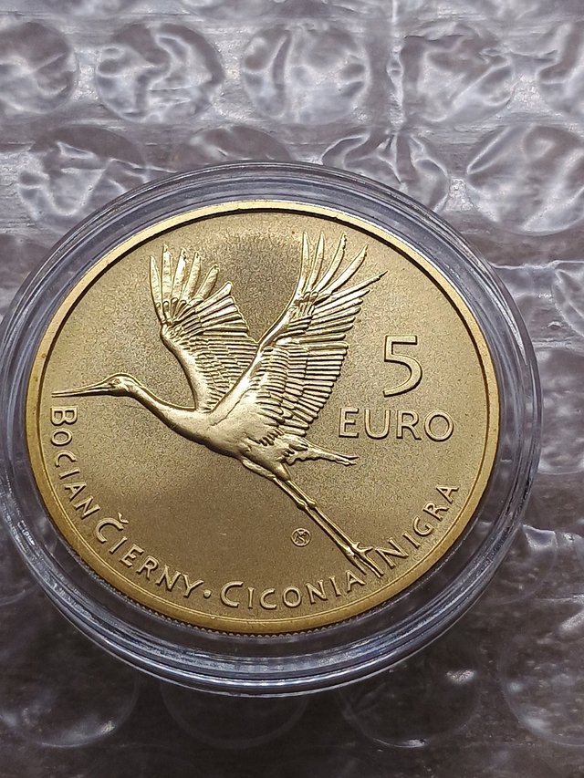 5€ Slovacchia 2023. La Cicogna Nera