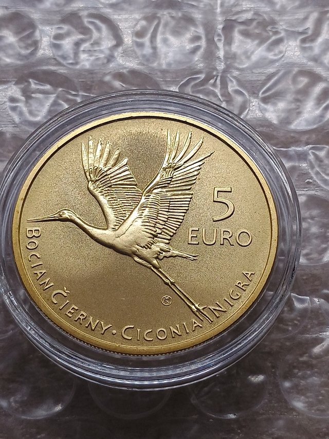 5€ Slovacchia 2023. La Cicogna Nera