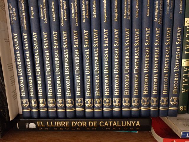 HISTORIA universal Salvat / [coordinación Jean-Pierre Palacio ; colaboradores científicos, José Alsi