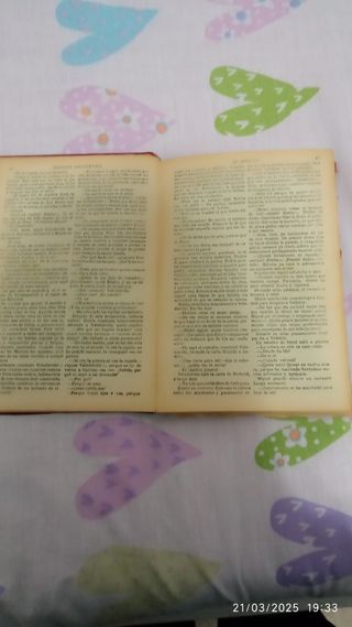 El diluvio