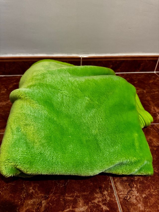 Coperta verde