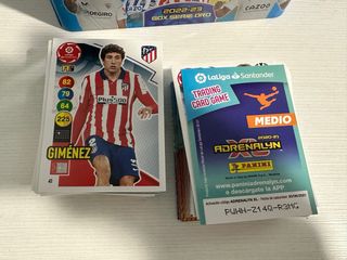 Cromos Adrenalyn 2020/21 venta
