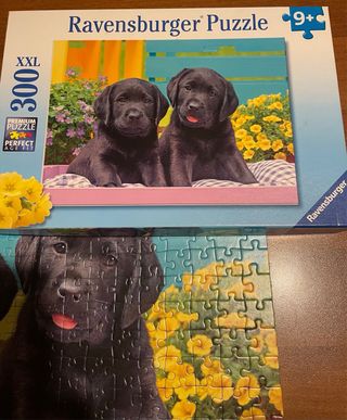 Puzzle cani Ravensburger 300 pezzi