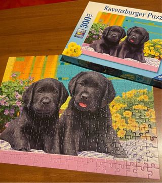 Puzzle cani Ravensburger 300 pezzi