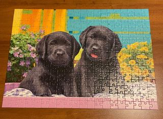 Puzzle cani Ravensburger 300 pezzi