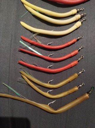 22 Anguilones Ragot y otros