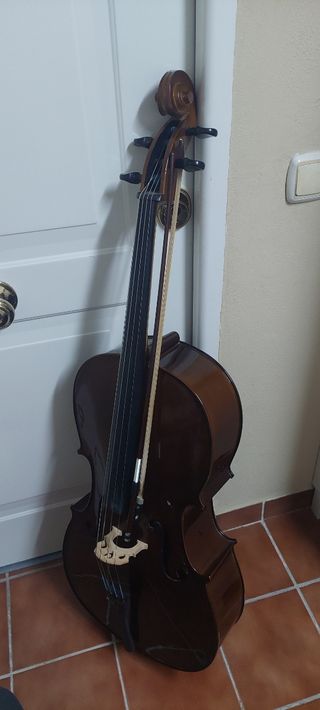 Violonchelo, cambio por chelo eléctrico
