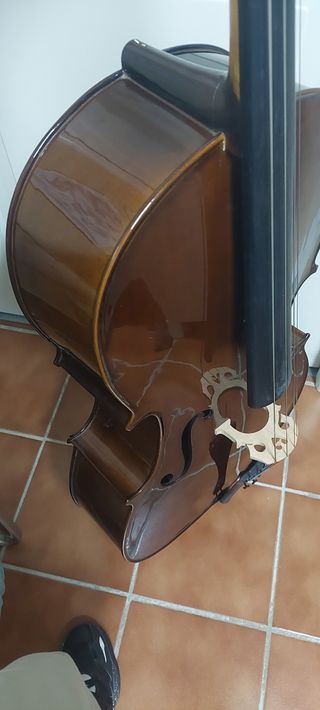 Violonchelo, cambio por chelo eléctrico