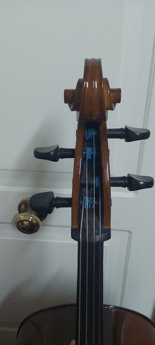 Violonchelo, cambio por chelo eléctrico