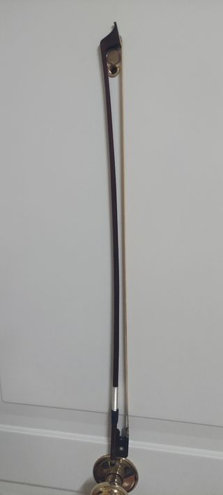 Violonchelo, cambio por chelo eléctrico