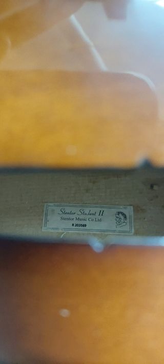 Violonchelo, cambio por chelo eléctrico