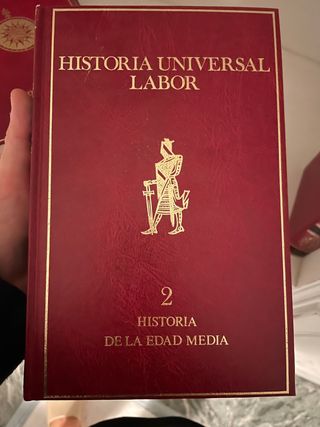 Historia Universal Labor