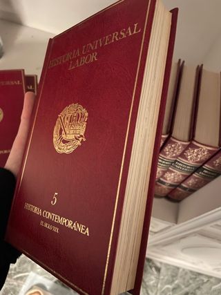 Historia Universal Labor