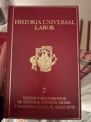 Historia Universal Labor