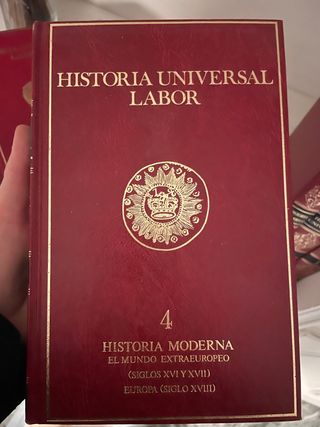 Historia Universal Labor
