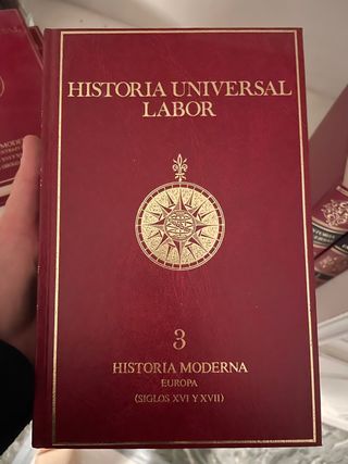 Historia Universal Labor