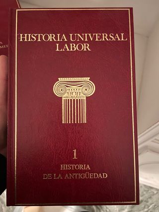 Historia Universal Labor
