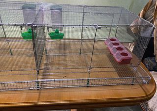 Jaula para codornices desmntable