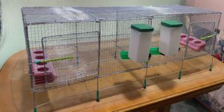 Jaula para codornices desmntable