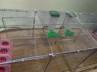 Jaula para codornices desmntable