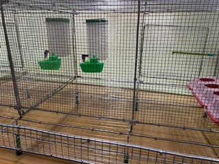 Jaula para codornices desmntable