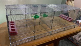 Jaula para codornices desmntable