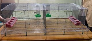 Jaula para codornices desmntable