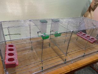 Jaula para codornices desmntable