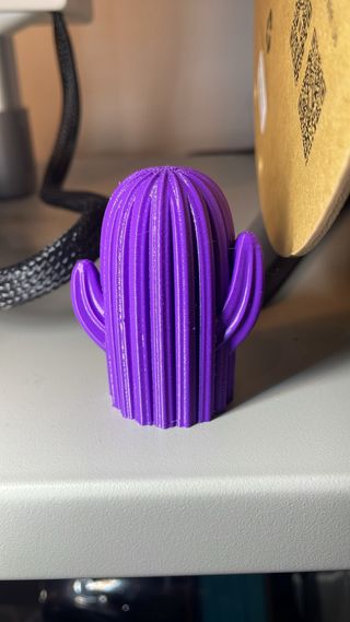 Cactus decorativo