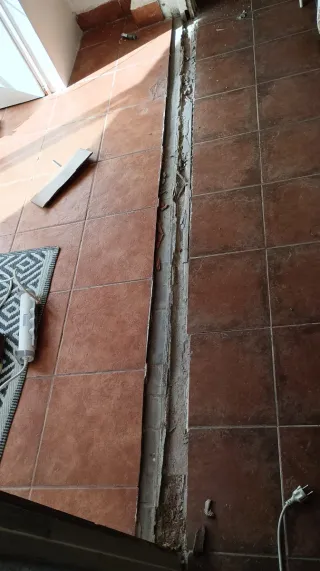 paleta1