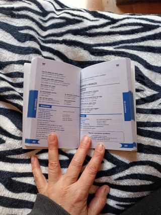 Italiano de viaje (COLECCION VOX DE VIAJE. GUIAS DE CONVERSACION) (Spanish Edition)