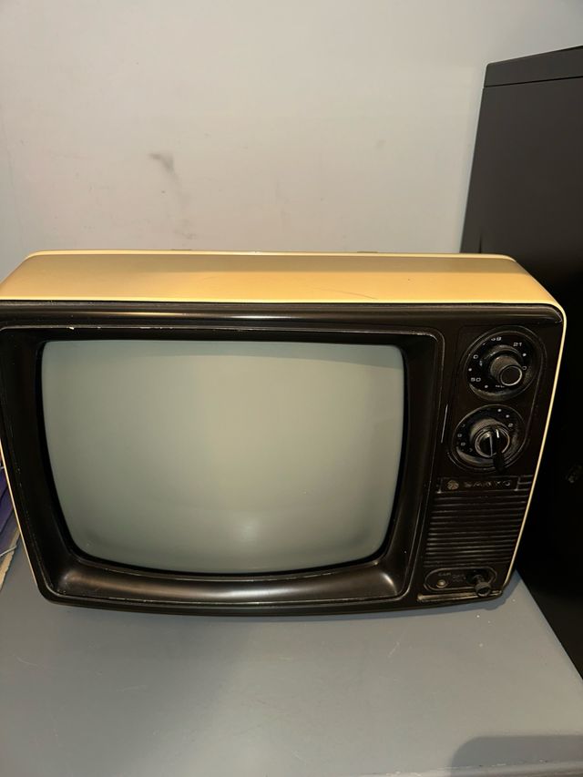 Televisión portatil en blanco y negro