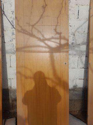 PUERTA DE PASO